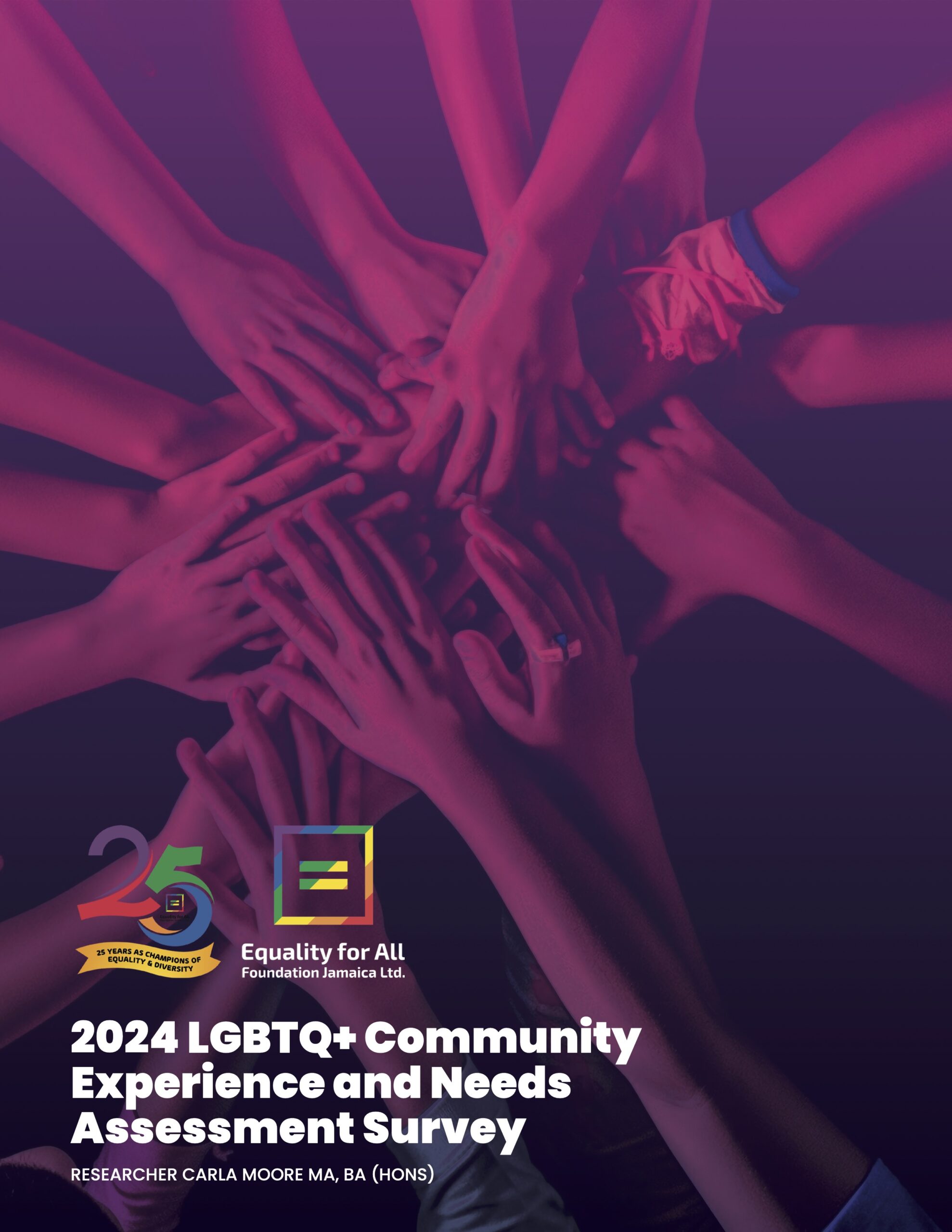 LGBTQ+ Needs Assessment 2024